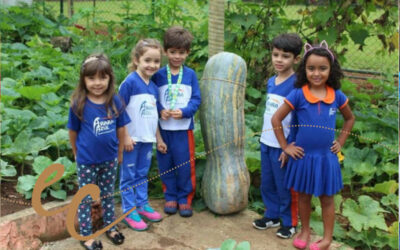 Alunos colhem abóbora de 50 quilos e um metro de comprimento em escola